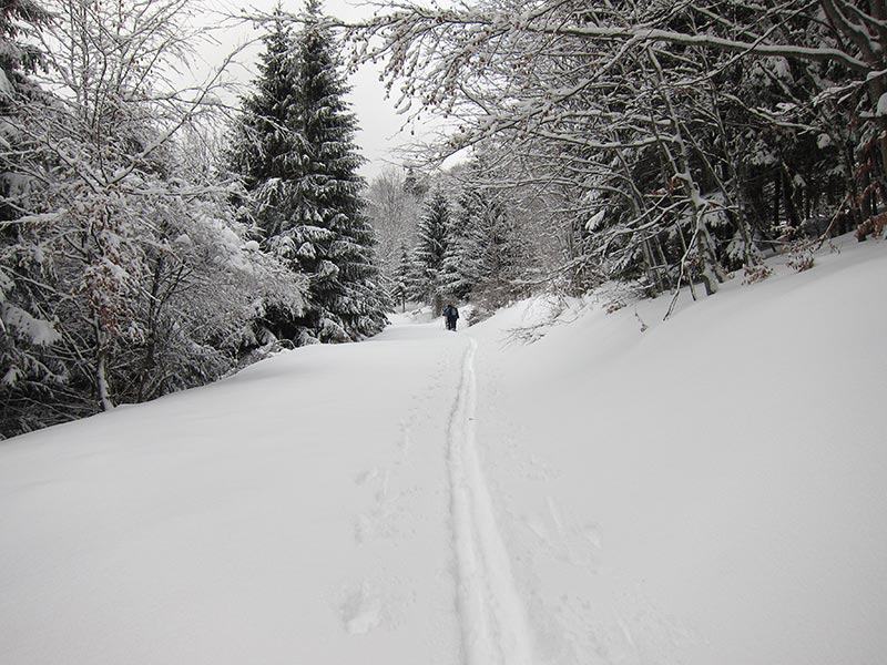 tirolerkogel